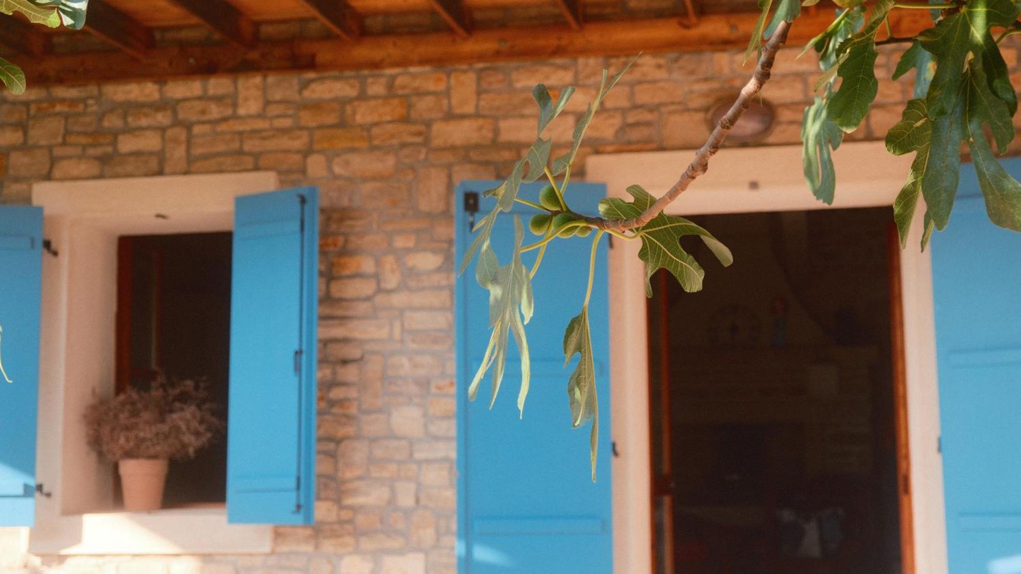 Villa Kamena Kuca Mamma Mia à Sukošan Extérieur photo